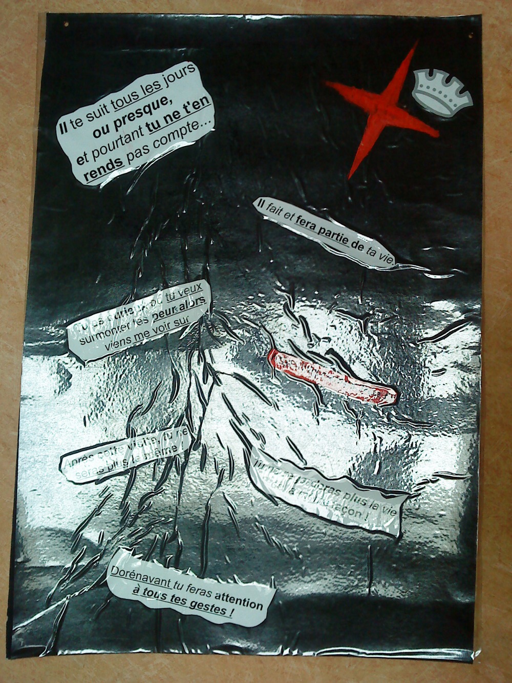 Une des affiches expliquant aux élèves du collège Albert Camus d'Outreau (62) le projet Mister Crown.